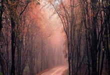 球友会体育：[NBA]常规赛2月26日：独行侠VS.