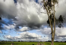 田径——南京室内世锦赛：女子三级跳远决赛赛况.