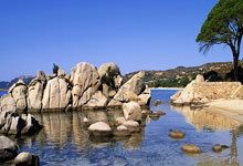 球友会体育：吉林男篮签下澳大利亚籍后卫布兰克利.